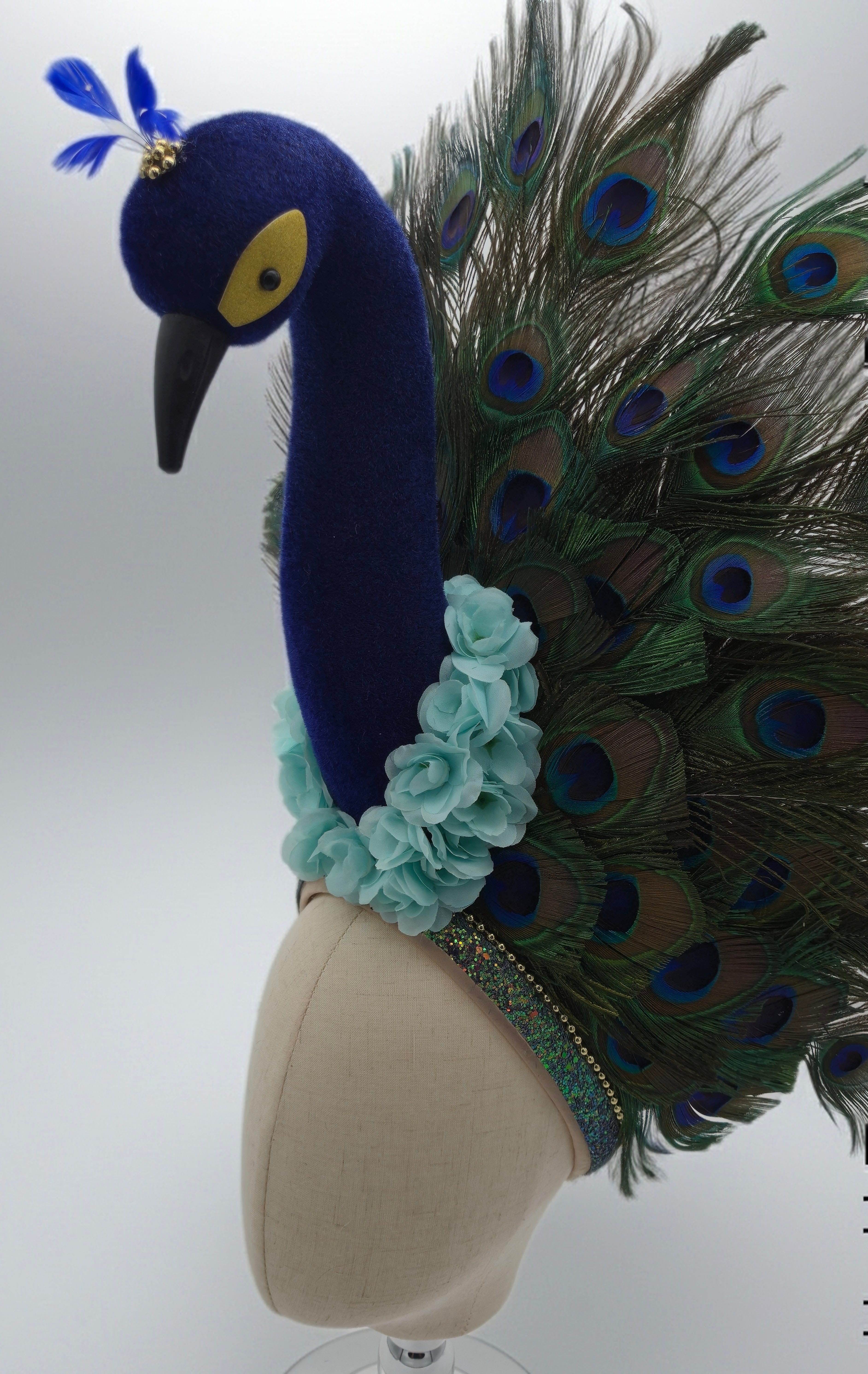 Strut your stuff